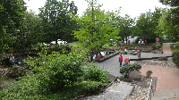 2019 Ausstellung KTC in Koenigstein (2)